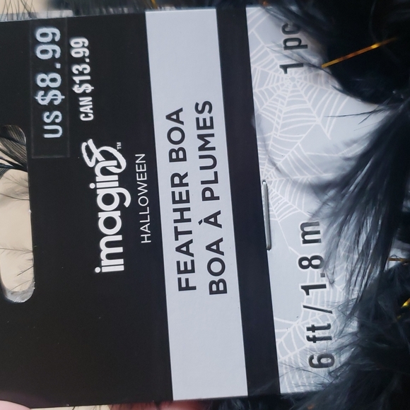 Halloween Skull Sign and Feather Boa - Picture 4 of 5